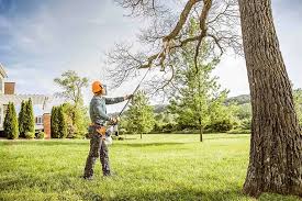 Mount Pleasant, PA  Tree Services Company